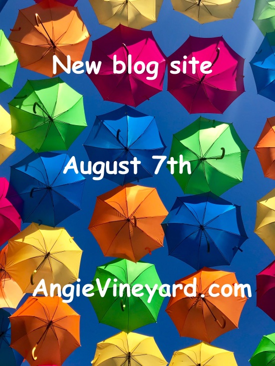 blog footer umbrella